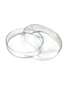 PETRI DISH GLASS 120 X 25 MM BH