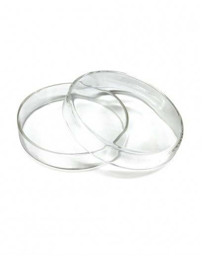 PETRI DISH GLASS 120 X 25 MM BH
