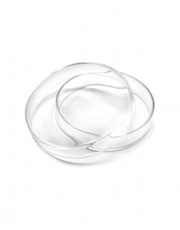 PETRI DISH GLASS 90 X 18 MM BH