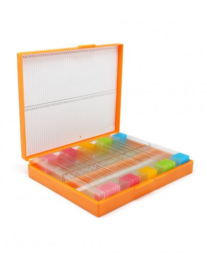 BOX OBJECT GLASS '100 ORANGE BH